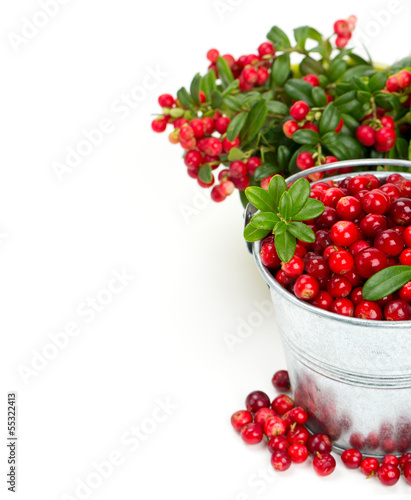 cowberries in a bucket isolated on white