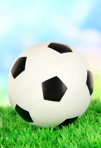 Soccer ball on green grass on bright background