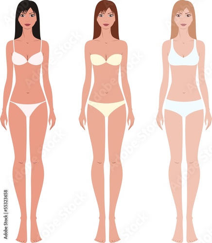 Vector illustration of woman's fashion figures