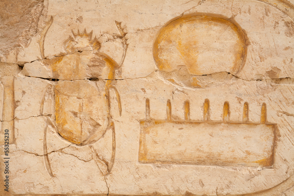 Scarab beetle. Egypt