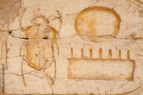 Obraz na płótnie Scarab beetle. Egypt w salonie
