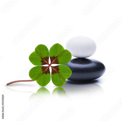 Kleeblatt mit Steine