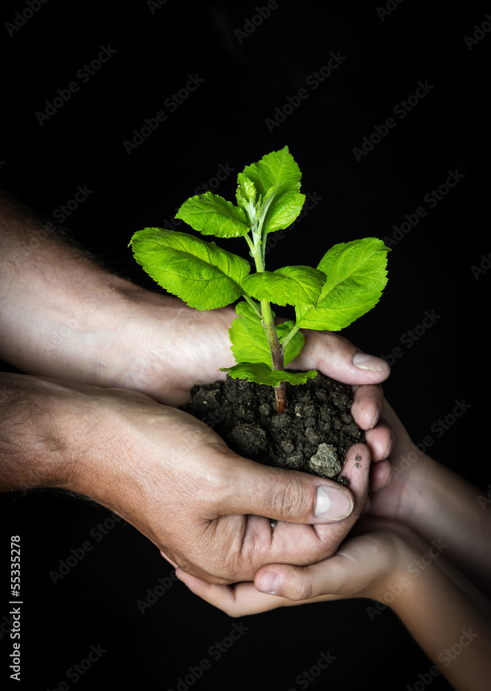 people looking after a little tree - ecology concept people looking after a little tree - ecology concept