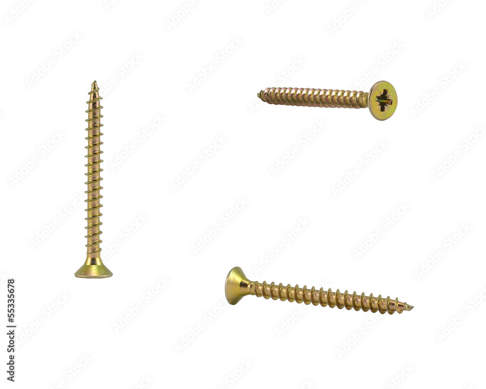 Screw Screw