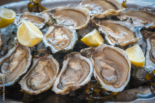 Foto fresh oysters