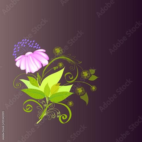 Background - composition with a flower.
