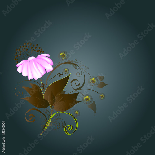 Background - composition with a flower.