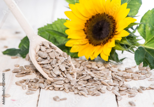 Quadro em tela Sunflower Seeds (Macro Shot)