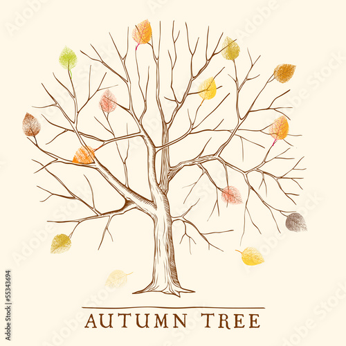 Vintage autumn tree with colorful leaves