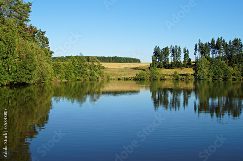 Obraz na płótnie Pond surrounded by trees w salonie