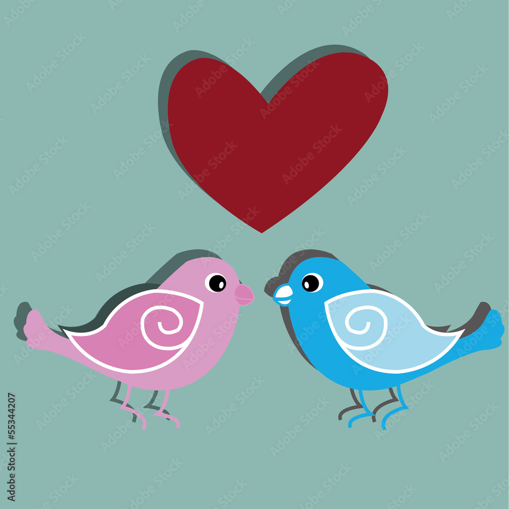 birds birds
