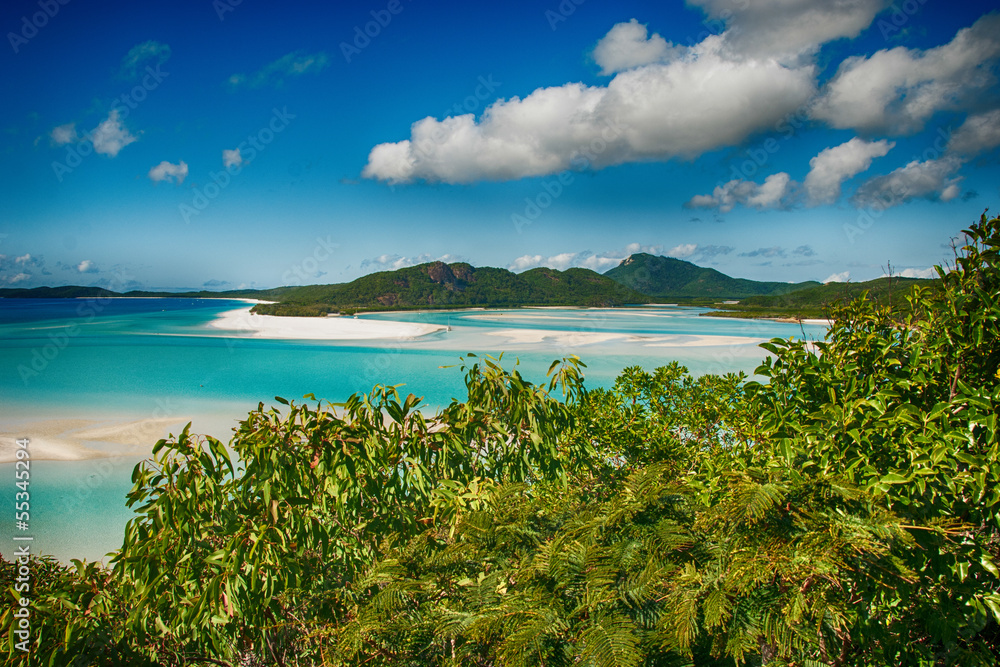Wonderful sea and forest of Queensland. Whitehaven Beach - Austr