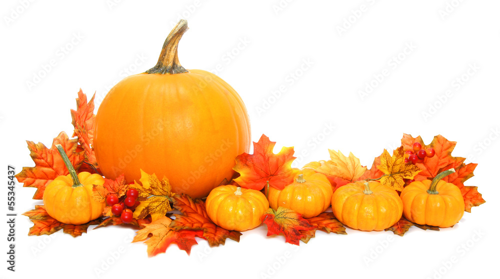 Autumn arrangement of pumpkins with red leaves - obrazy, fototapety, plakaty 
