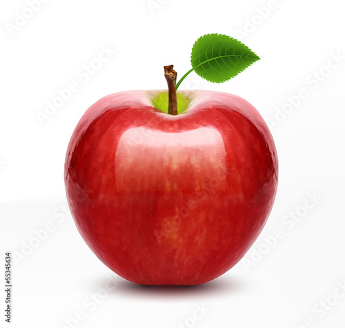 Vector red apple isolated