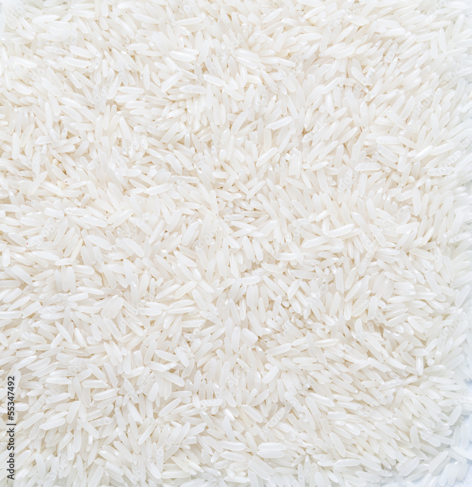 rice grain (jasmine rice) rice grain (jasmine rice)