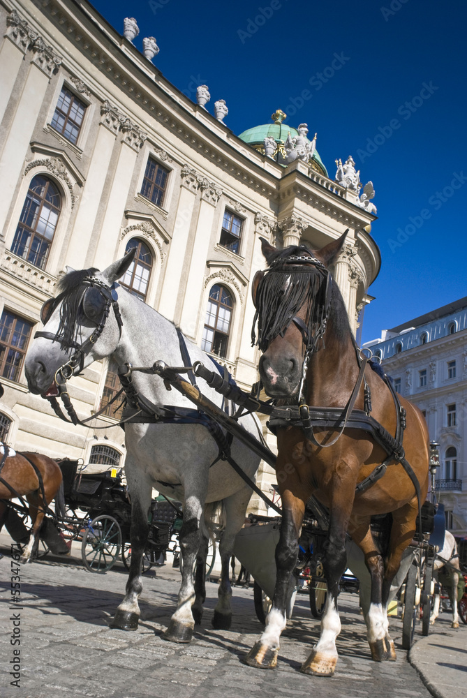 Spanish Riding School, Vienna