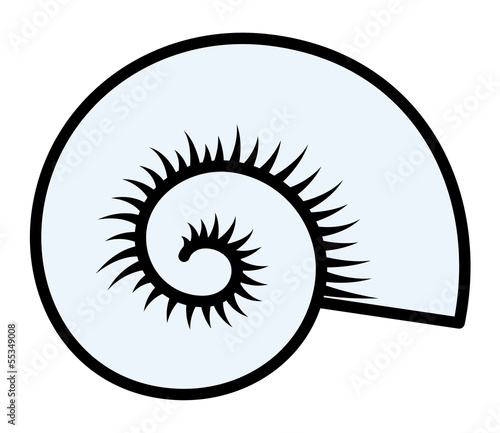 Circular Seashell - Vector Illustration