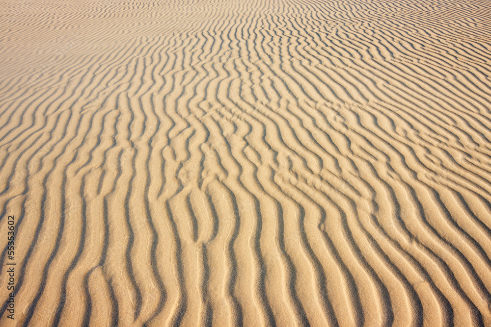 Ripples in the sand of a beach Ripples in the sand of a beach