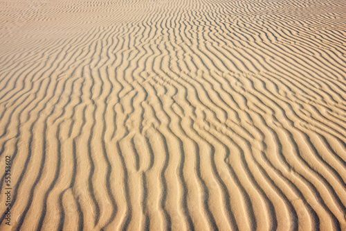 Fototapeta Naklejka Na Ścianę i Meble -  Ripples in the sand of a beach