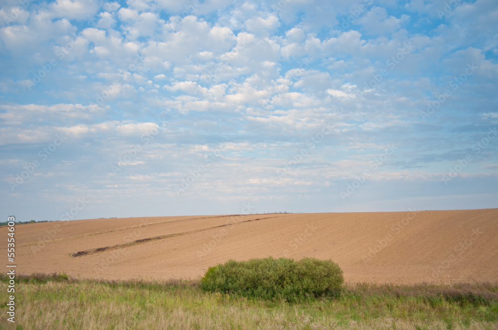 Fototapeta premium Landscape of the village. Poland