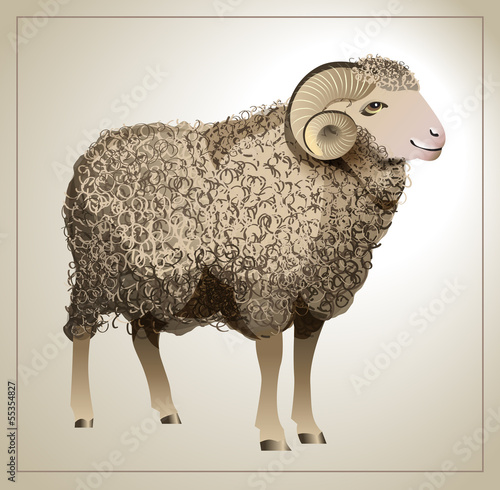Vector Realistic Sheep with detailed wool