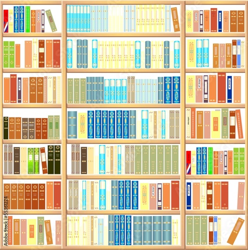 Bookcase full of books
