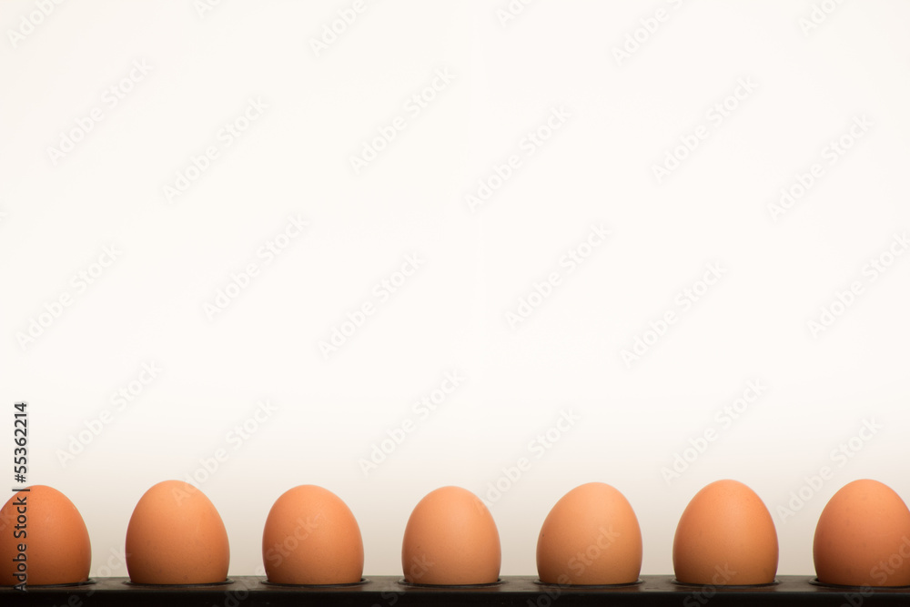 Eggs with white empty space