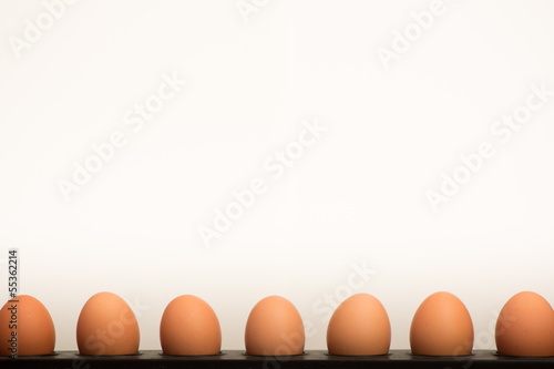 Obraz na płótnie Eggs with white empty space w salonie