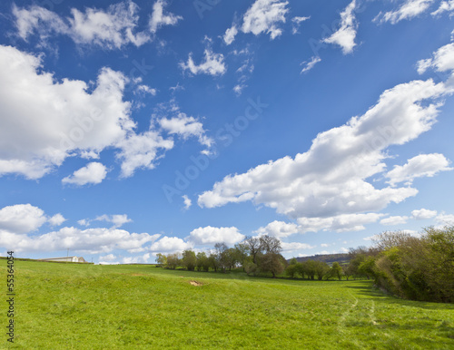 Idyllic rural landscape  Cotswolds UK