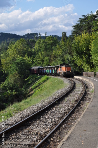 Train à vapeur des Cévennes