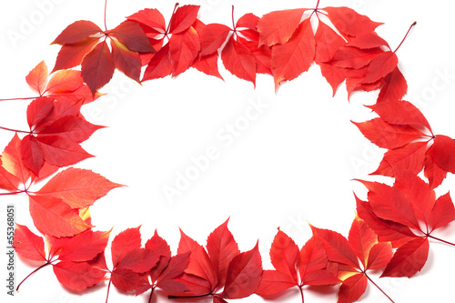 Autumn leaves frame isolated on white background