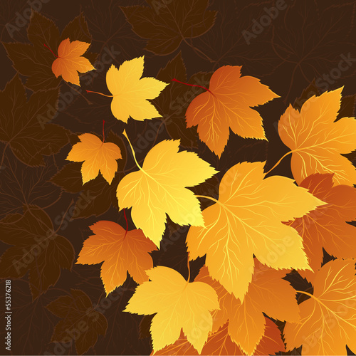 Fall leafs abstract background