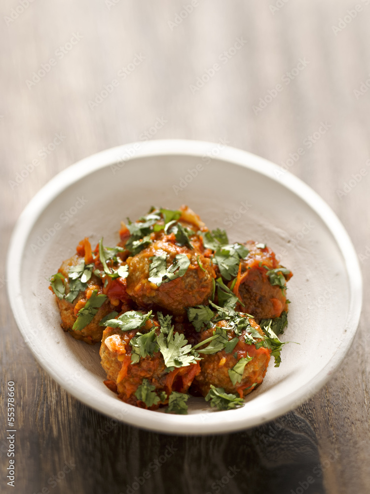 meatballs in tomato sauce meatballs in tomato sauce