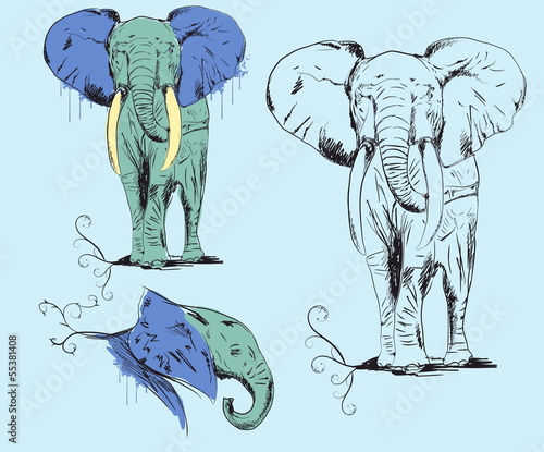 Majestic elephant