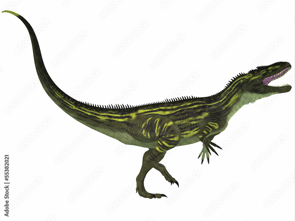 Torvosaurus on White
