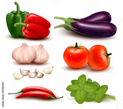 The big colorful group of vegetables. Vector illustration.