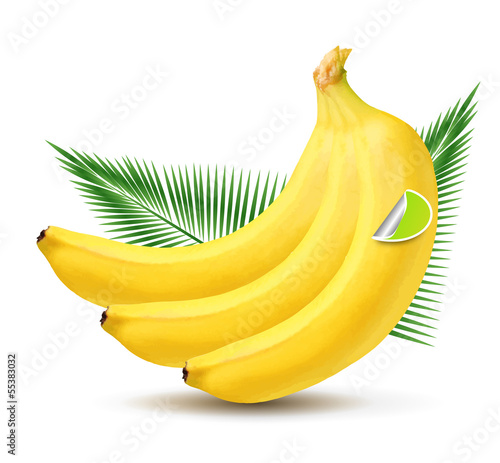Vector banana with palm leaves isolated on white background