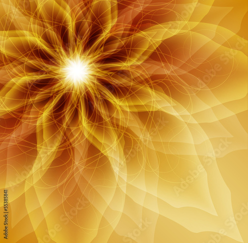 Gold flower petals with transparent