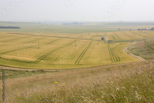 Countryside near Calne. Wiltshire. England