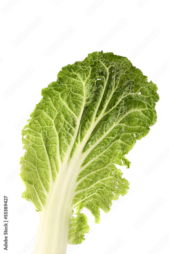 Leaf of chinese cabbage close up. Leaf of chinese cabbage close up.