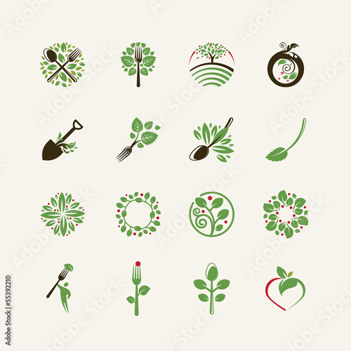Set of organic food icons