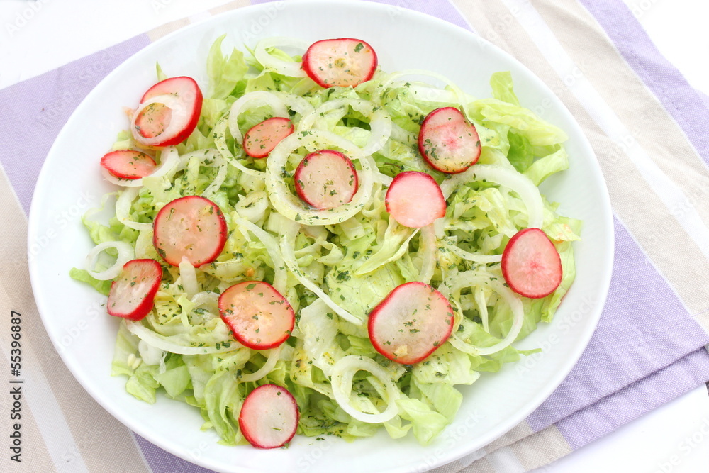 frischer Salat frischer Salat