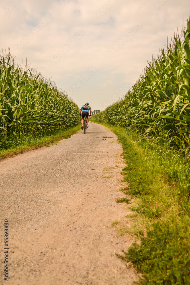 Fototapeta premium biciletta in campagna