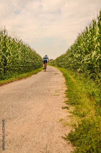 biciletta in campagna photo