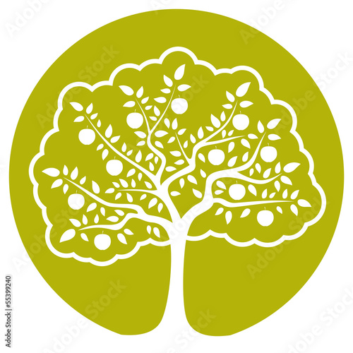 apple tree
