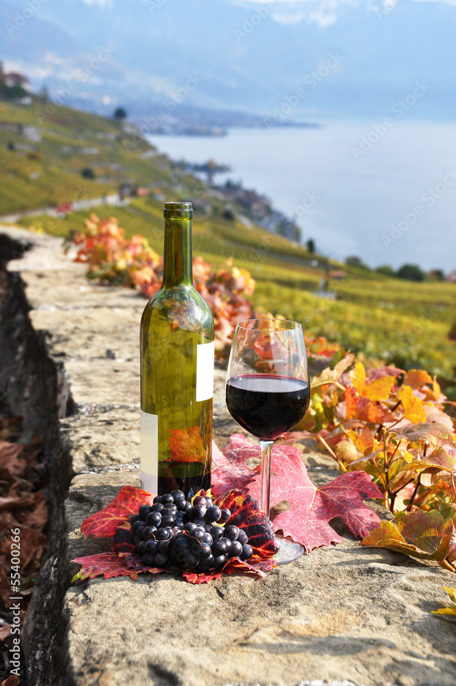 red wine on the terrace vineyard in Lavaux region, Switzerland