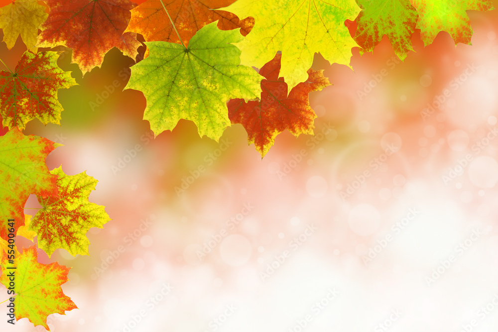 Herbst 30 Herbst 30