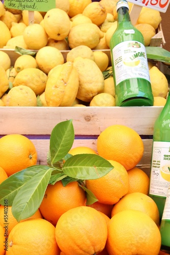 selling lemon juice tree in limone gardasee zitronenverkauf II
