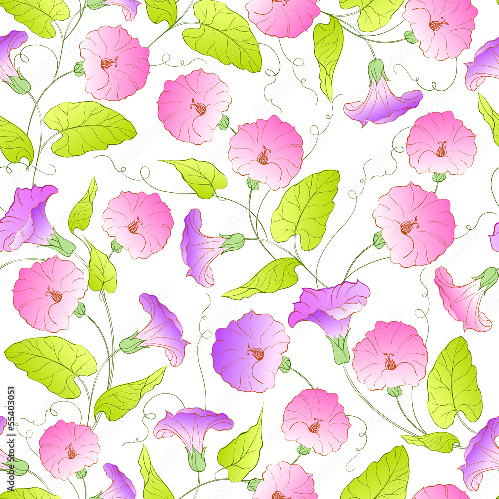 Bindweed flower seamless pattern.