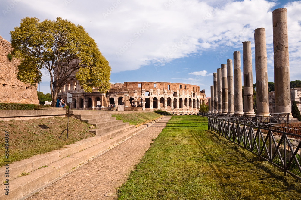 Colosseo and venus temple columns path and tree view from Roman Colosseo and venus temple columns path and tree view from Roman